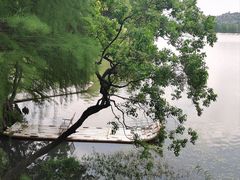 -东湖落雁景区