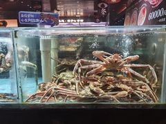 -紫阳海鲜楼·传承闽味(长乐路总店)