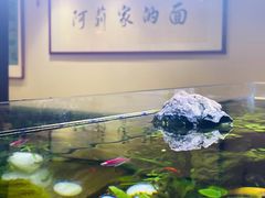 -阿莉餐厅(枣阳路店)