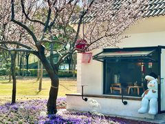 -新虹桥中心花园