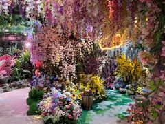 -正佳雨林生态植物园