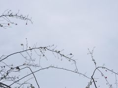 -石炮台公园