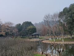 -绍兴镜湖国家城市湿地公园