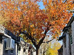 -北京市府学胡同小学