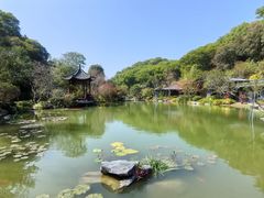 -云溪植物园