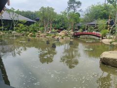 -仙湖旅游度假区