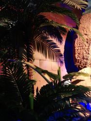 -恐龙探索乐园(磁器口店)