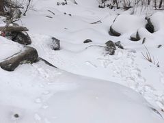 -秦岭风景区
