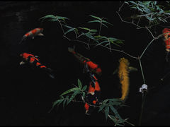 -The Flowers Coffee(南山店)