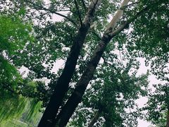 -廊坊市自然公园