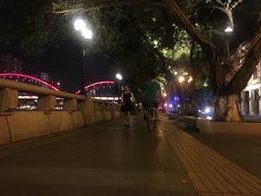 -珠江夜游广州塔·中大码头