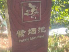 -水底山庄园温泉