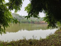 -三水森林公园