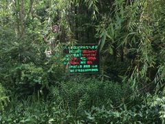 天目湖山水园景区-天目湖山水园