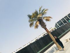 -法拉利主题公园