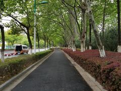-仙林宾馆-餐厅