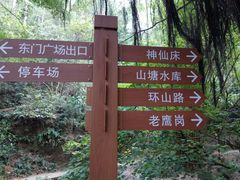-滴水岩森林公园