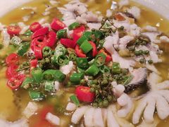 -三猫黑鱼花(南大店)