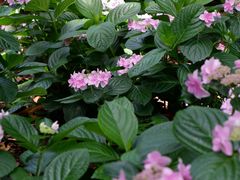 -常州古运河南大街文化旅游区-人民公园