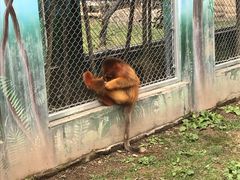 -西安秦岭野生动物园