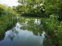 -西溪国家湿地公园