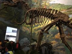 -自贡恐龙博物馆