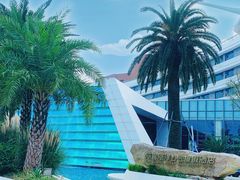 -上海海昌海洋公园