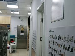 -宠福鑫康馨动物医院·骨科·眼科