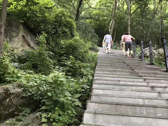 -王顺山国家森林公园