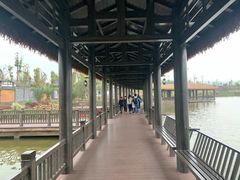 -枫香湖儿童公园