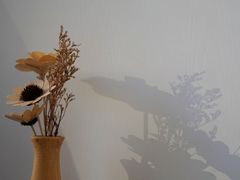 -普素书咖茶空间