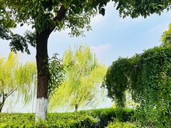 -橘子洲景区