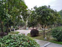 -三江森林温泉度假区