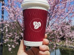 -COSTA COFFEE(上海虹口公园店)