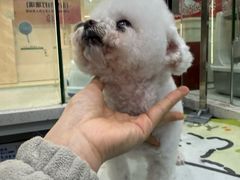 -它主义宠物(梁溪万达店)