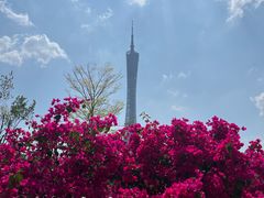 -海心沙亚运公园