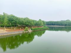 -大兴滨河森林公园