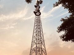 -大兴滨河森林公园