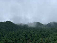 -苍山感通索道