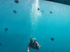 -瑞德姆美人鱼海底演艺主题餐厅(亚龙湾店)
