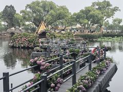 -无锡蠡湖国家湿地公园-蠡园