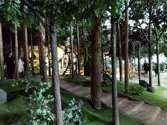-吉林省自然博物馆
