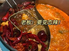 -青瓷火锅料理(西单大悦城店)