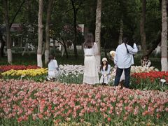 -石家庄市植物园