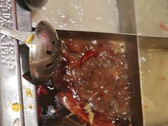 -海底捞火锅(吾悦国际广场店)