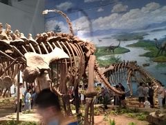 -自贡恐龙博物馆