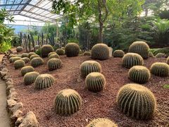 -呀路古热带植物园