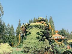 -东平国家森林公园