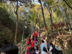 -灵顺寺
