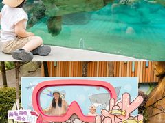 -海合安成都极地海洋公园